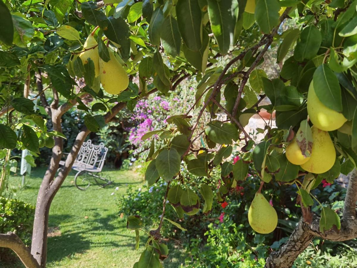 Il Giardino Di Tatiana Rooms & Breakfast Ла-Маддалена Экстерьер фото