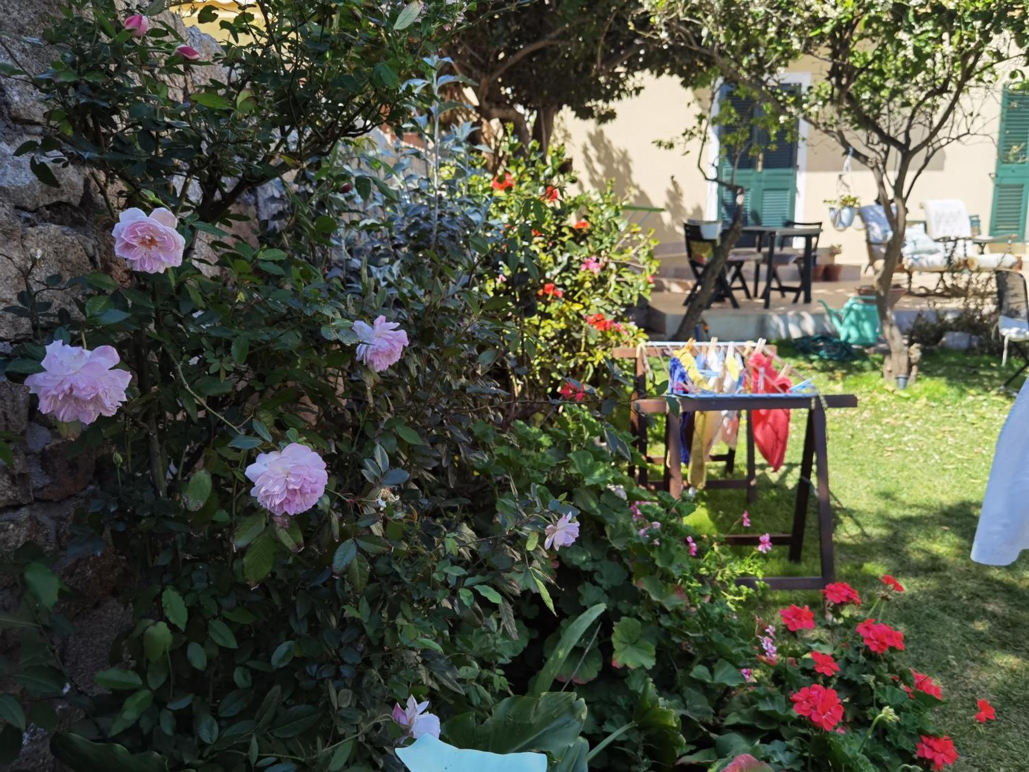 Il Giardino Di Tatiana Rooms & Breakfast Ла-Маддалена Номер фото